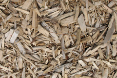 biomass boilers Heckdyke