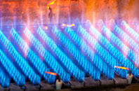 Heckdyke gas fired boilers